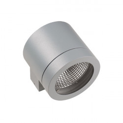 Светильник настенный Lightstar 350619 Paro