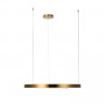 Подвесной светильник LOFT IT 10013L RING