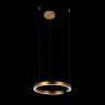 Подвесной светильник LOFT IT 10013M RING