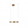 Подвесной светильник LOFT IT 10013M RING