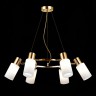 Подвесная люстра Evoluce SLE1139-303-06