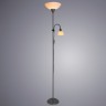 Светильник напольный Arte lamp DUETTO A9569PN-2SI