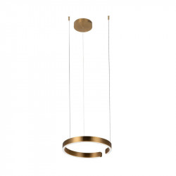 Подвесной светильник LOFT IT 10013S RING