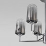 Потолочная люстра со стеклянными плафонами Eurosvet 60156/8 хром Pluto