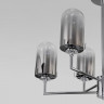 Потолочная люстра со стеклянными плафонами Eurosvet 60156/8 хром Pluto