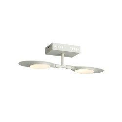 Светильник настенно-потолочный ST-Luce SL824.501.02 FARFALO
