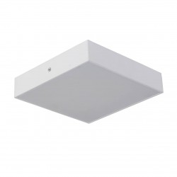 Потолочный светильник Favourite 2066-24C Flashled