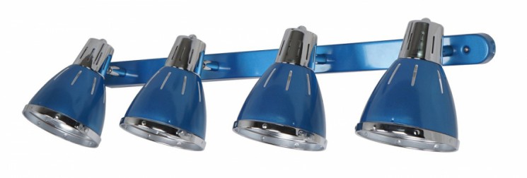 Светильник спот Arte Lamp A2215PL-4BL