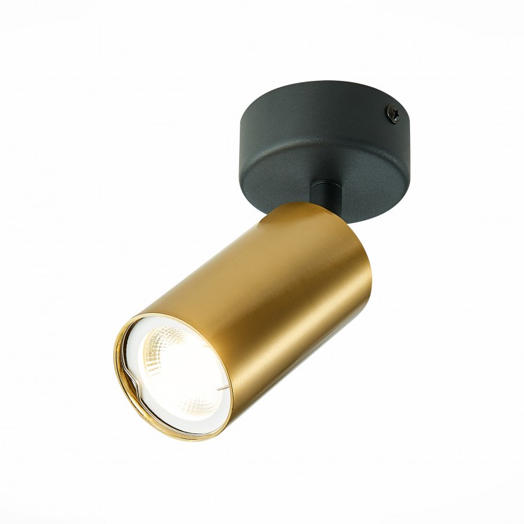 Потолочный светильник  ST Luce ST303.202.01 ST303