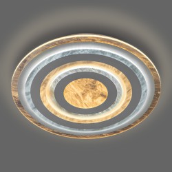 Потолочный светодиодный светильник с пультом управления Eurosvet Freeze 90209/1 белый