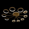 Накладная люстра LOFT IT 10164M Gold Megan