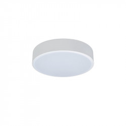 Накладной светильник LOFT IT 10002/12 White AXEL