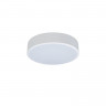 Накладной светильник LOFT IT 10002/12 White AXEL