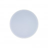 Накладной светильник LOFT IT 10002/12 White AXEL