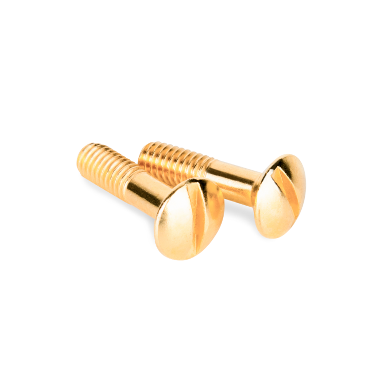 Винты для распределительной коробки/TV  розетки 2 шт. золото Ретро Werkel WL18-22-01