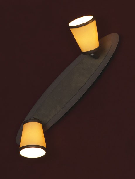 Светильник настенно-потолочный Lussole LSL-2301-02 FOSSOMBRONE