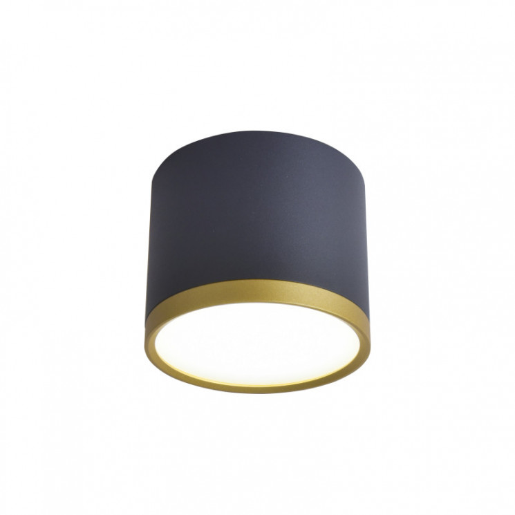 Накладной светильник Favourite 3081-2C Baral