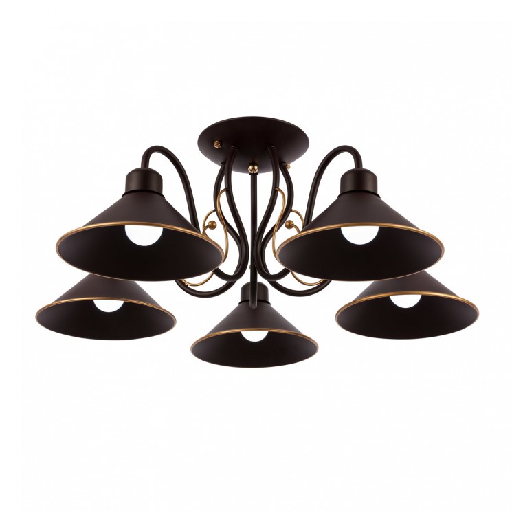 Люстра потолочная Evoluce CIOLLA SLE120402-05