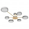 Потолочный светильник LOFT IT Sunrise 10316/6 Grey