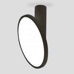 Накладной светильник Elektrostandard DLS029 12W 4200K черный матовый DLS029