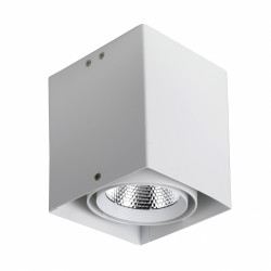 Потолочный светильник Favourite 1986-1U Flashled