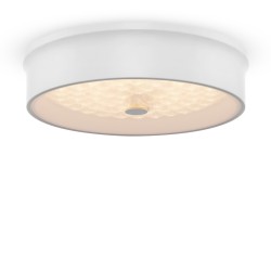 Потолочный светильник Freya FR10011CL-L24W Cells