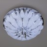 Потолочный светильник  Eurosvet Daisy 80013/8 хром/белый