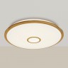 Люстра потолочная светодиодная с пультом Citilux Старлайт CL703102RGB Золото