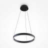 Подвесной светильник Maytoni MOD058PL-L22BK Rim