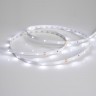 Светодиодная лента Arlight RT 2-5000 24V White6000 0.5x (3528, 150 LED, LUX) 019917(B)