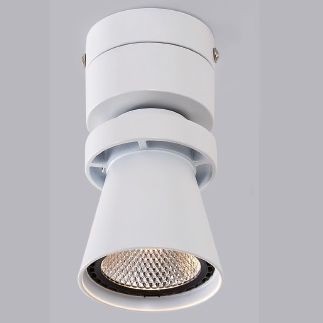 Светильник Citilux CL556510