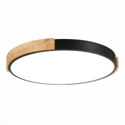 Светильник потолочный Evoluce SLE201342-01 DELIA