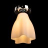 Светильник потолочный Arte lamp CANZONE A3469PL-1CC