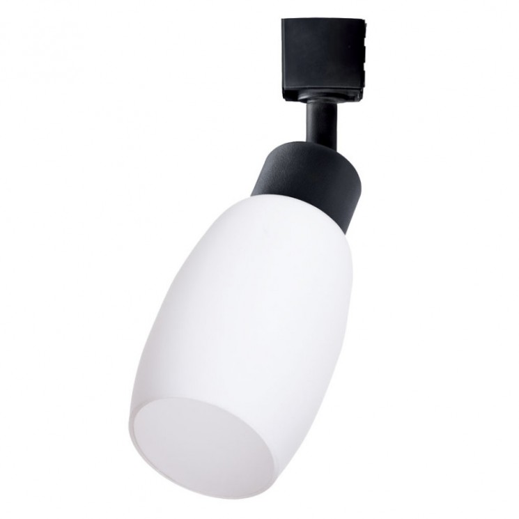 Светильник потолочный Arte lamp MIIA A3055PL-1BK