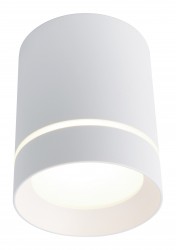 Светильник потолочный Arte lamp A1909PL-1WH ELLE