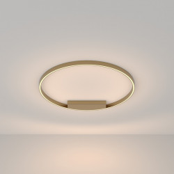Потолочный светильник Maytoni MOD058CL-L50BS3K Rim