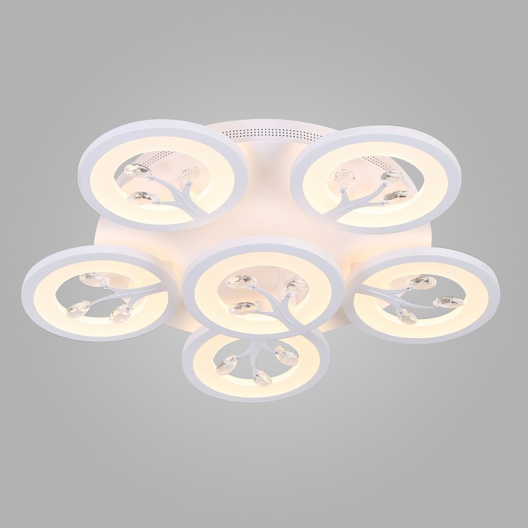 Светодиодный потолочный светильник с пультом управления Eurosvet 90142/6 белый 100W