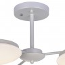 Люстра F-Promo Ledante 2475-3P