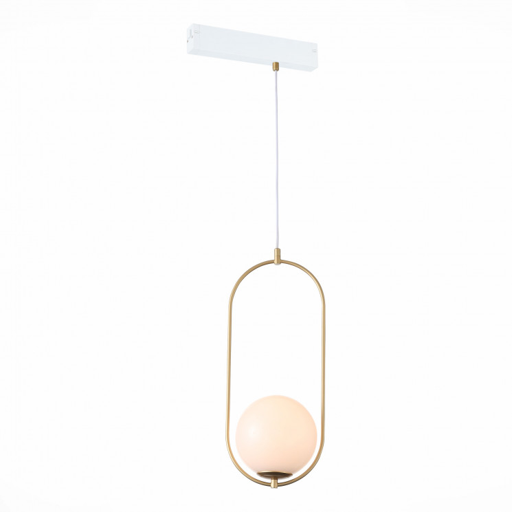 Трековый светильник ST LUCE SKYLINE 220 ST500.203.01