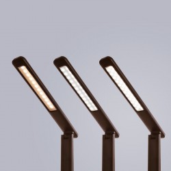 Светильник настольный Arte lamp COACH A1307LT-1BR