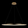 Подвесной светильник LOFT IT 10014XL RING