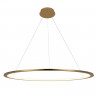 Подвесной светильник LOFT IT 10014XL RING