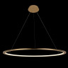 Подвесной светильник LOFT IT 10014XL RING