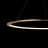 Подвесной светильник LOFT IT 10014XL RING