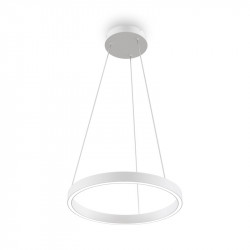 Подвесной светильник Maytoni MOD058PL-L22WK Rim