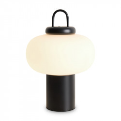 Настольная лампа Freya FR6175TL-L10B Take