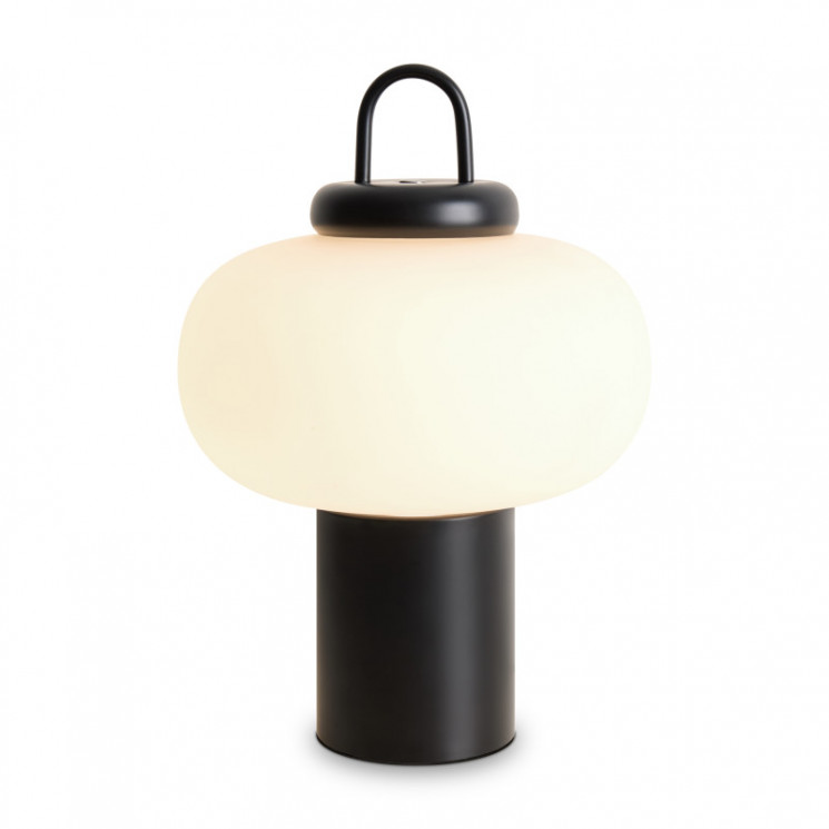 Настольная лампа Freya FR6175TL-L10B Take