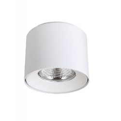 Потолочный светодиодный светильник Crystal Lux CLT 522C117 WH