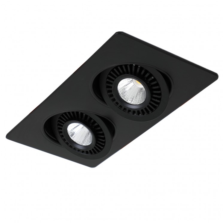 Встраиваемый светильник Favourite 2416-2U Cardine