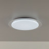 Накладной светильник Citilux CL734330G Спутник